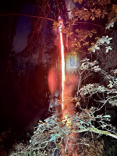 IMG-20230609-WA0013 groß.jpg